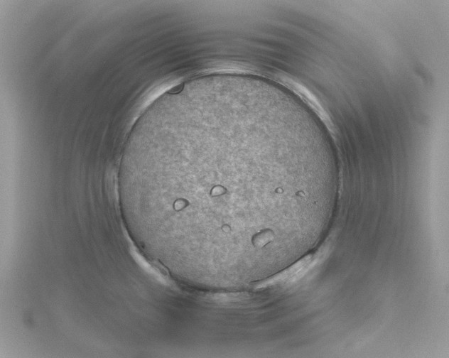 X0000115191433200911181439