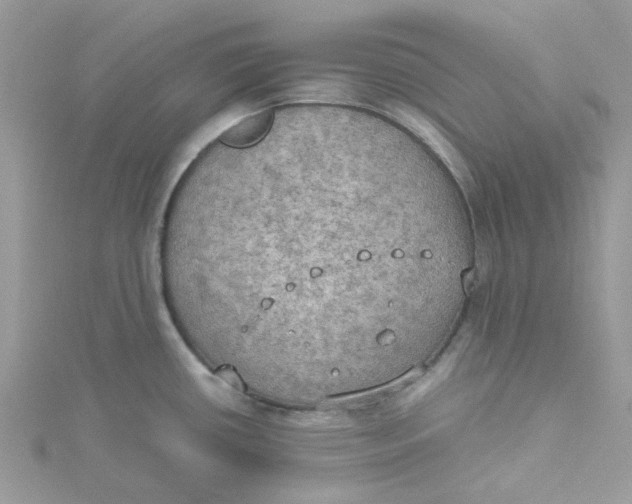 X0000115191434200911181439