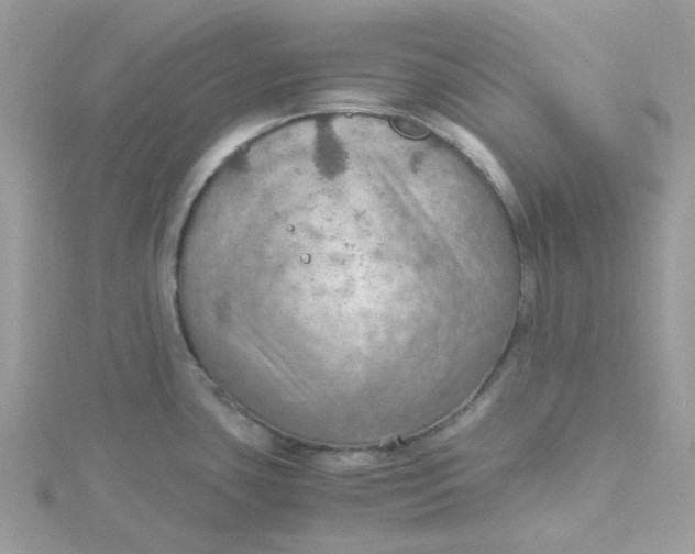 X0000115191435200911181439