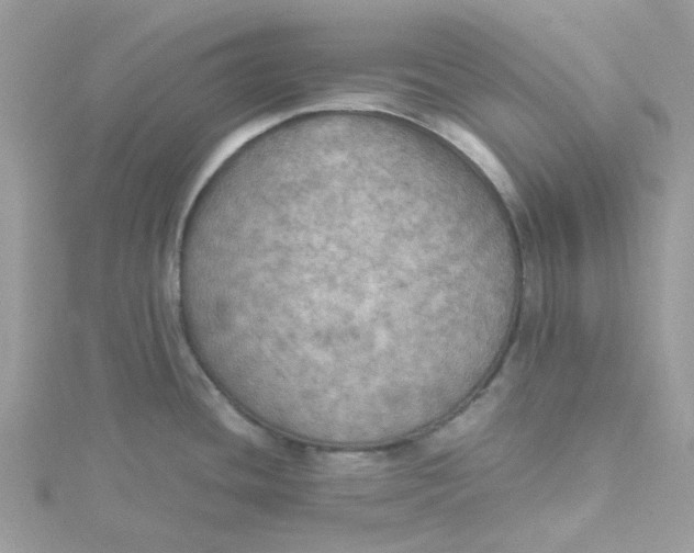 X0000115191436200911181439