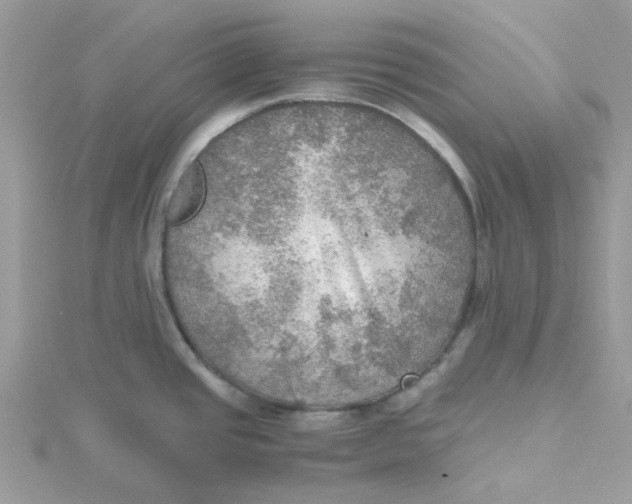 X0000115191437200911181439