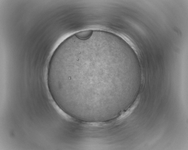 X0000115191438200911181439