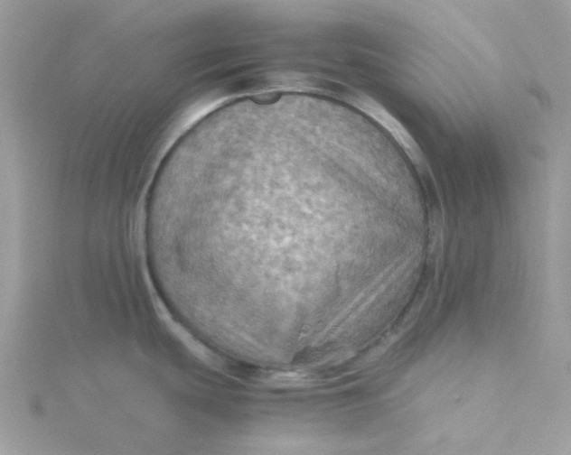 X0000115191439200911181439