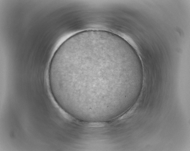 X0000115191440200911181439