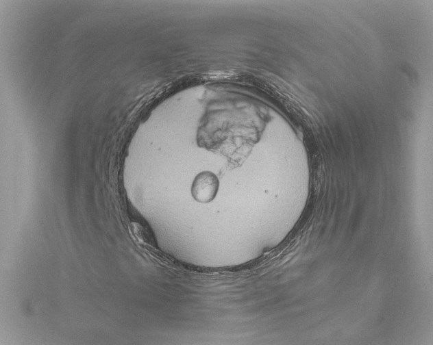 X0000115191441200911181438