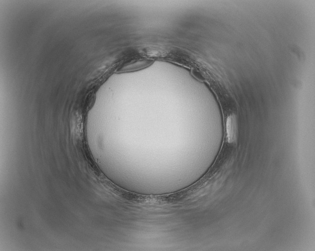 X0000115191443200911181438