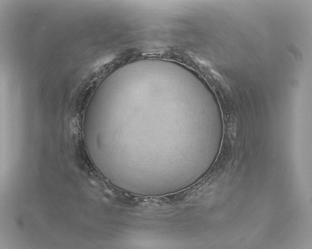 X0000115191445200911181438