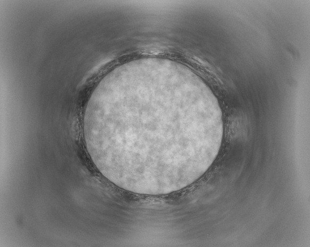 X0000115191446200911181438