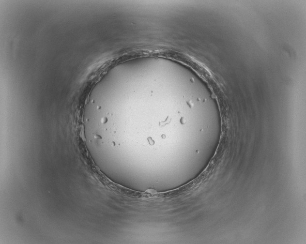 X0000115191447200911181438