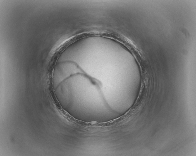 X0000115191448200911181438