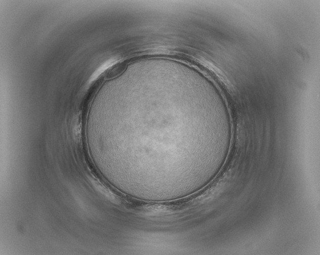 X0000115191450200911181437