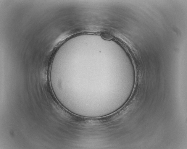 X0000115191451200911181437