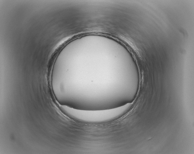 X0000115191452200911181437