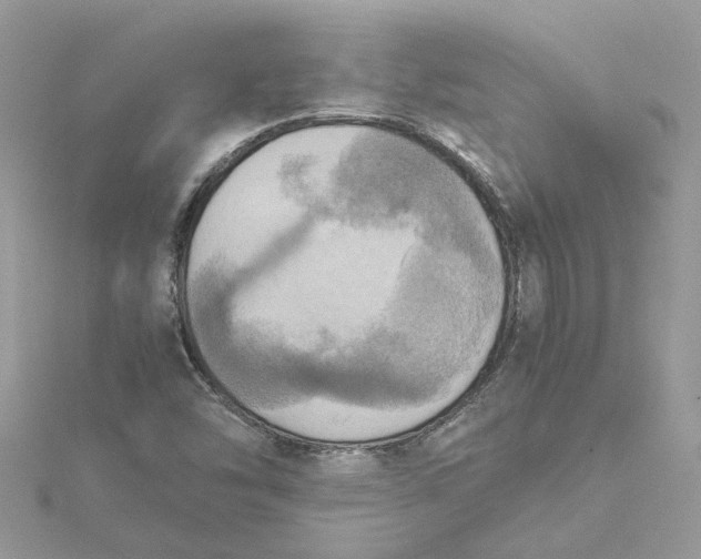 X0000115191454200911181437