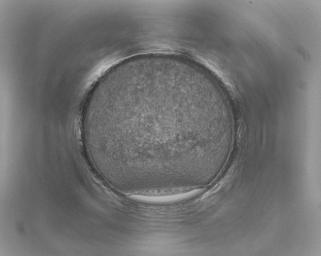 X0000115191455200911181437