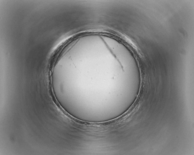 X0000115191456200911181437