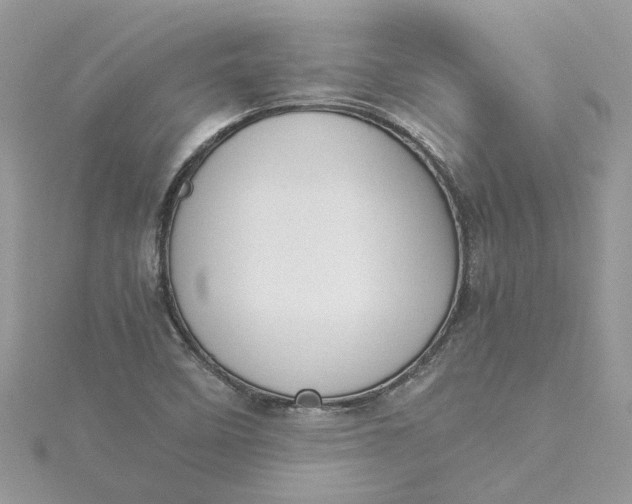 X0000115191458200911181437