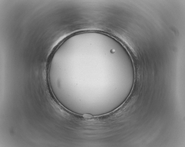 X0000115191460200911181437