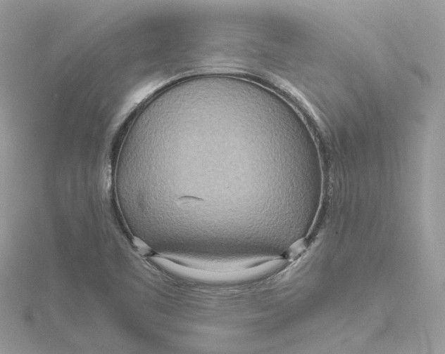 X0000115191461200911181437