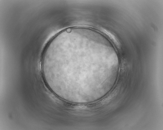 X0000115191462200911181437