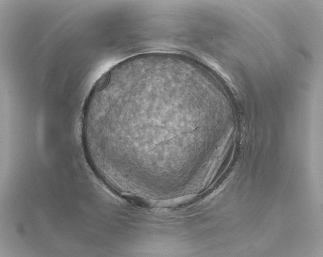 X0000115191463200911181437