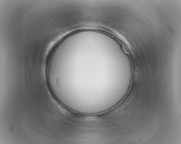 X0000115191464200911181437