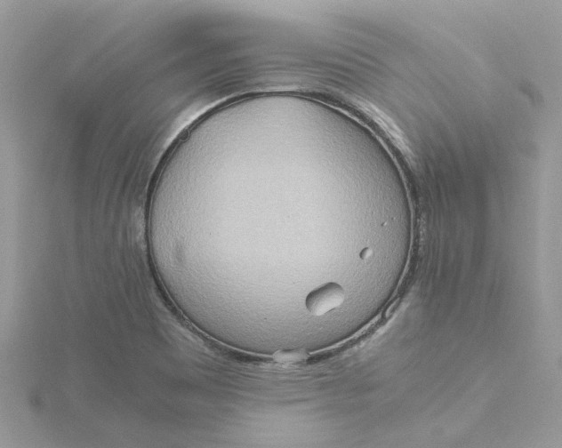 X0000115191465200911181437