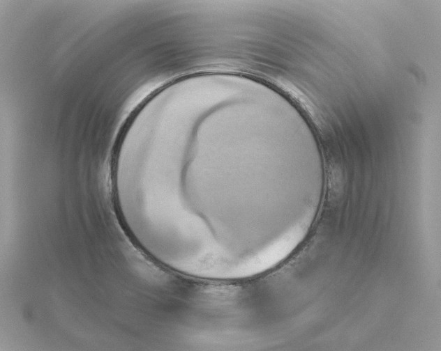 X0000115191466200911181437