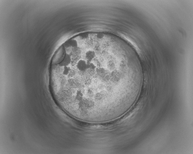 X0000115191467200911181437