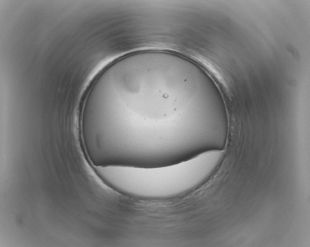 X0000115191468200911181437