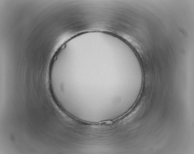 X0000115191469200911181437