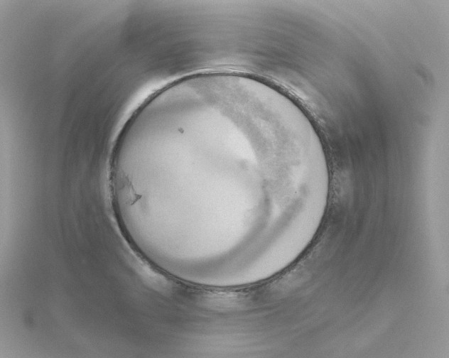 X0000115191470200911181437