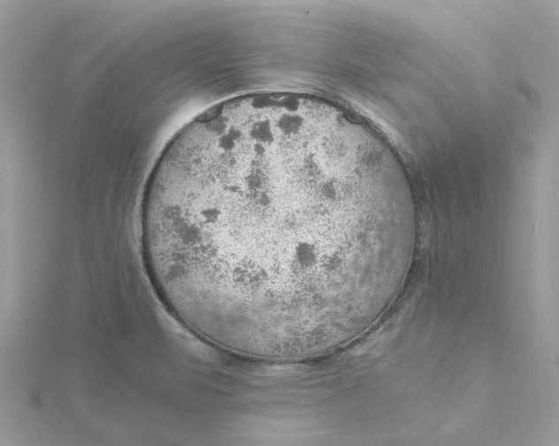 X0000115191471200911181437