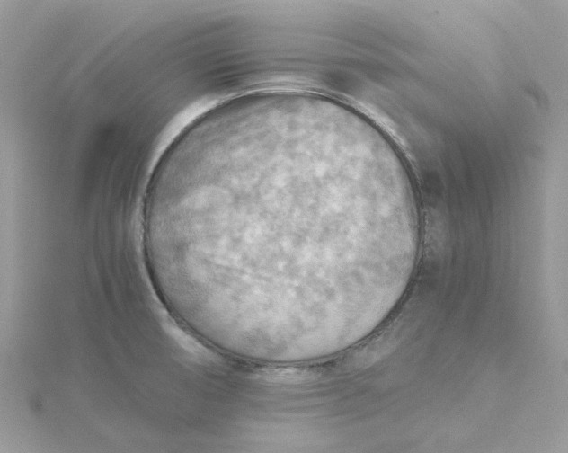 X0000115191474200911181437