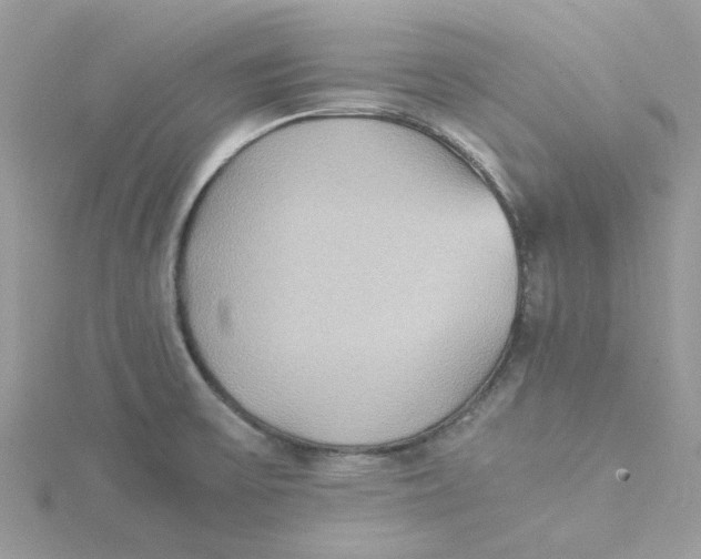 X0000115191475200911181437