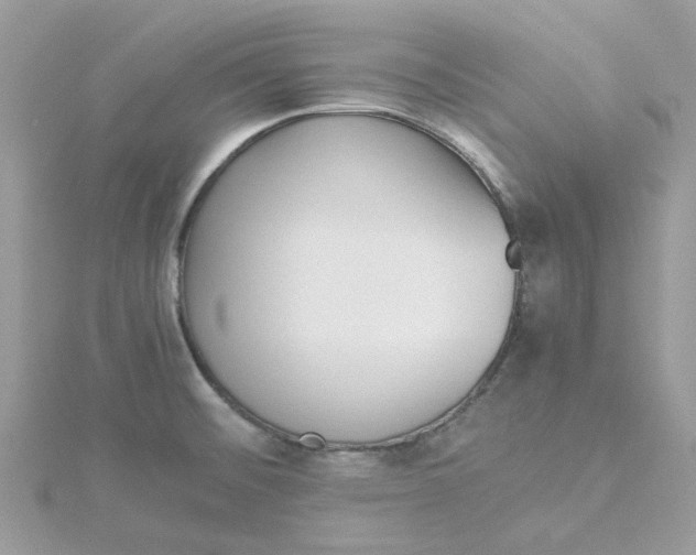 X0000115191476200911181437