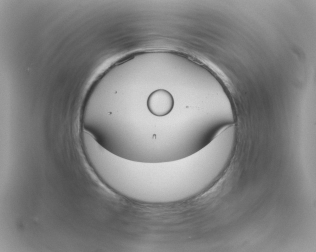 X0000115191477200911181437