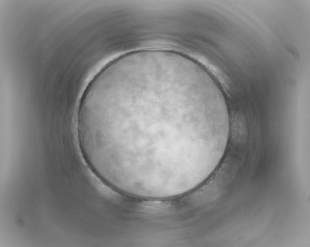 X0000115191478200911181437