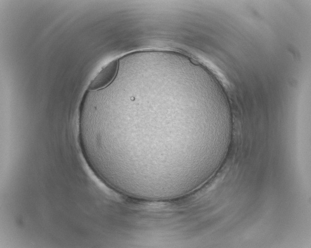 X0000115191479200911181437