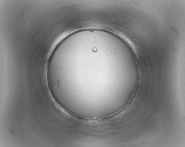 X0000115191480200911181437