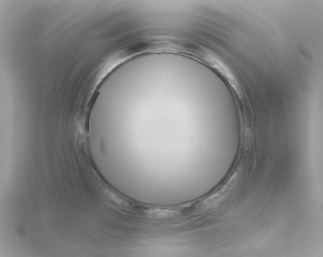 X0000115191481200911181437