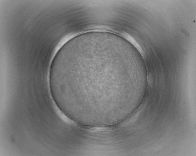 X0000115191482200911181437