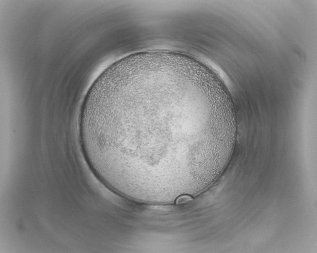 X0000115191483200911181437