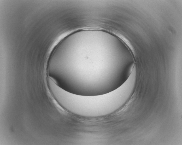 X0000115191485200911181437