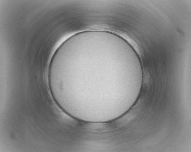 X0000115191486200911181437