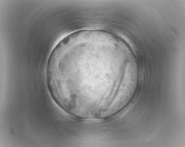 X0000115191487200911181437