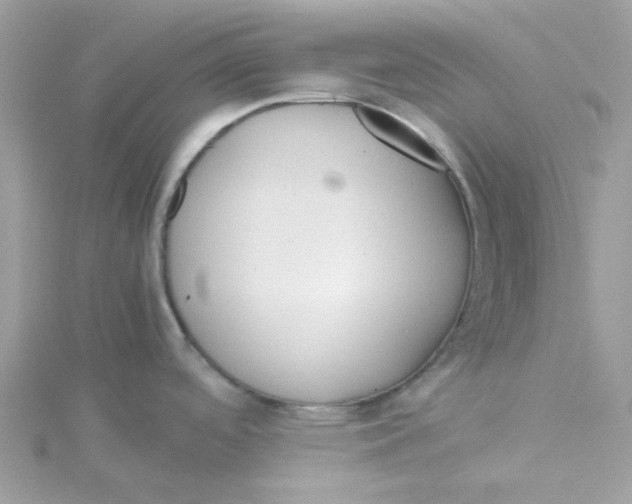 X0000115191488200911181437