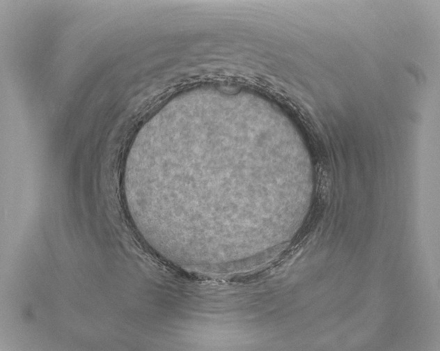 X0000115191489200911181436