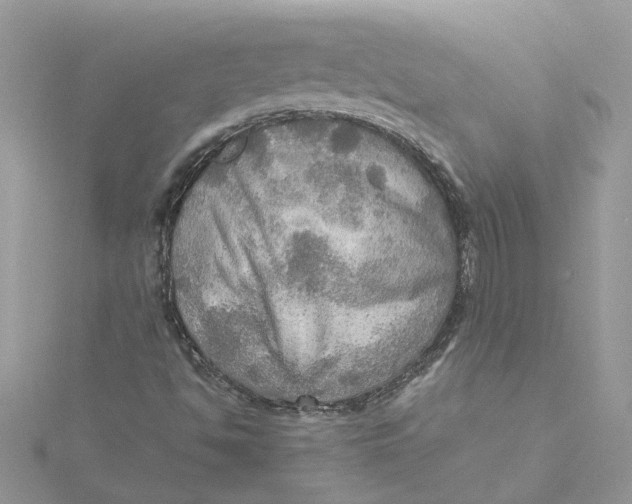 X0000115191494200911181436