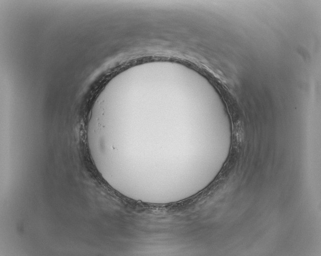 X0000115191495200911181436